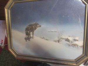 lot 302 image: Lone Wolf vintage print, framed 14...