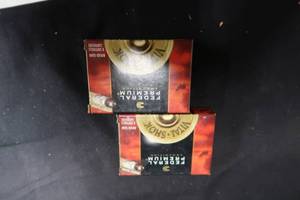 lot 41 image: 20 GAUGE SLUGS