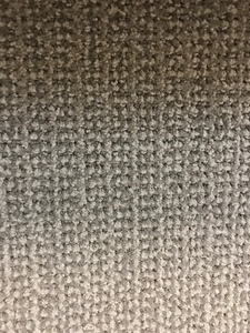 300 SF of Engineer Floors Lexington Carpet - Boot Straps