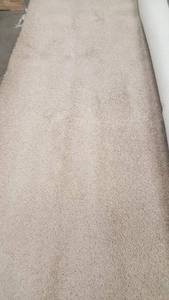 111 SF Dreamweaver Carpet - Oatmeal