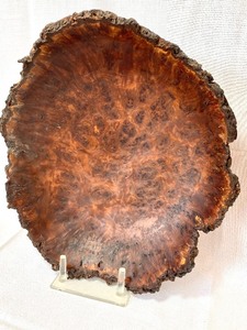 lot 11 image: Red Beech Burled Art Piece