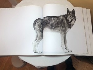 lot 65 image: Coffee Table Book Creature by Andrew Zuckerman