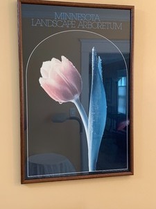 lot 166 image: Framed Print