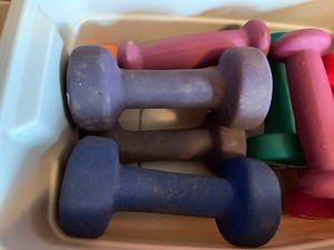 lot 164 image: Hand Weights