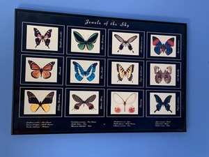 lot 239 image: Two Butterfly Themed Framed Posters