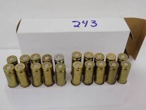.243 Reloads