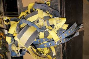 lot 91 image: Sala Harnesses