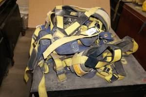 lot 90 image: Sala Harnesses