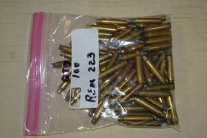 lot 80 image: 100 .223 Rem Casings
