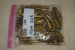 lot 81 image: 100 .223 Rem Casings
