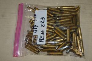 lot 82 image: 100 .223 Rem Casings