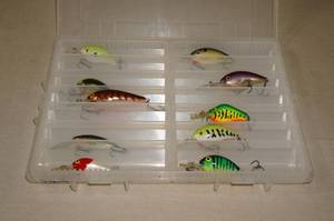 lot 167 image: 10 Fishing Lures in Plastic Tray - Rapala, Rebel