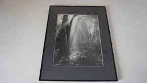 lot 78 image: Black Framed Forest Wall Picture
