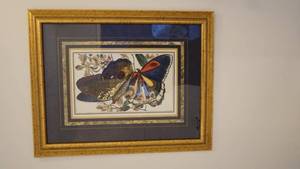 lot 86 image: Framed Butterfly Wall Picture by Paragon Picture Gallery