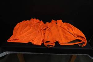 lot 49 image: ORANGE HUNTING CLOTHES