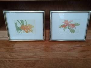 lot 145 image: Pair of Framed Flower Drawings