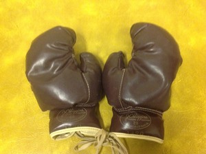 lot 172 image: JC Higgins Boxing Gloves