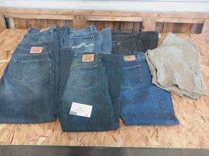 7 pair of Mens Vintage Levis and Designer Denim Jeans (Size 36)