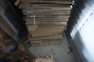 lot 36 image: Random Design High Definition Digital Vitrified Tile Lot of Assorted Colors