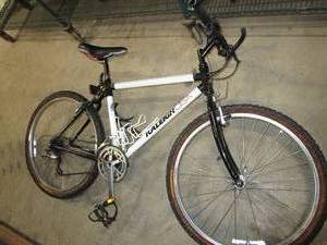 Raleigh Bicycle