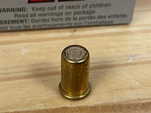 (50) .22-Short Black Powder Blanks