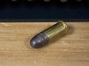 (50) Rounds .22-Short