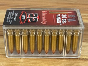 (50) Round .22-Magnum