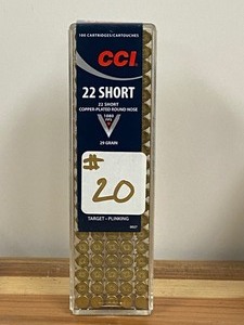 (100) Rounds .22-Short