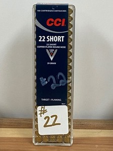 (100) Rounds .22-Short