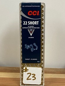 (100) Rounds .22-Short