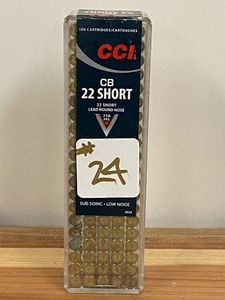 (100) Rounds .22-Short