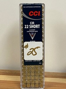 (100) Rounds .22-Short