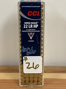 (100) Rounds .22LR