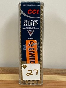 (100) Rounds .22LR