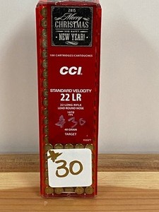(100) Rounds .22LR