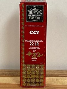 (100) Rounds .22LR