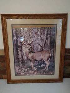 Framed Deer Print