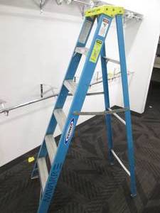 6 Ladder...