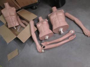 (2) Male Half Body Nude Mannequins,...