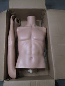 New in Box Male Half Mannequin Inc...