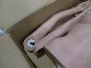 New in Box Female Half Mannequin N...