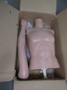 New in Box Male Half Mannequin Inc...