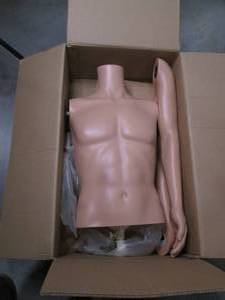 New in Box Male Half Mannequin Inc...