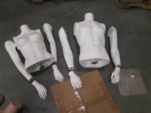 One Male and One Female Half Body M...