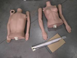 One Male and One Female Half Body M...
