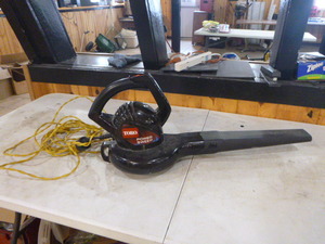 Toro Power Sweep