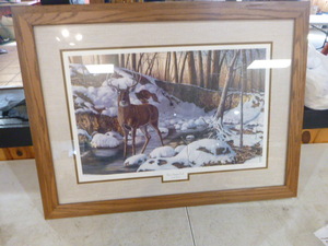 River Bottom Buck Framed Print by Jim Hansel
