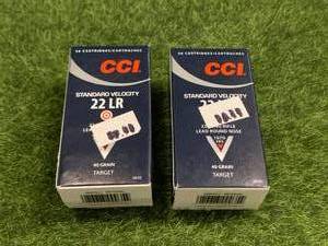 lot 9 image: 100 Rounds .22 Ammo Ammunition