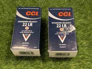 lot 10 image: 100 Rounds .22 Ammo Ammunition