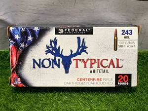 lot 74 image: 20 Rounds 243 WIN Ammo